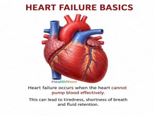 Heart failure basics