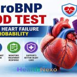 NT-proBNP blood test