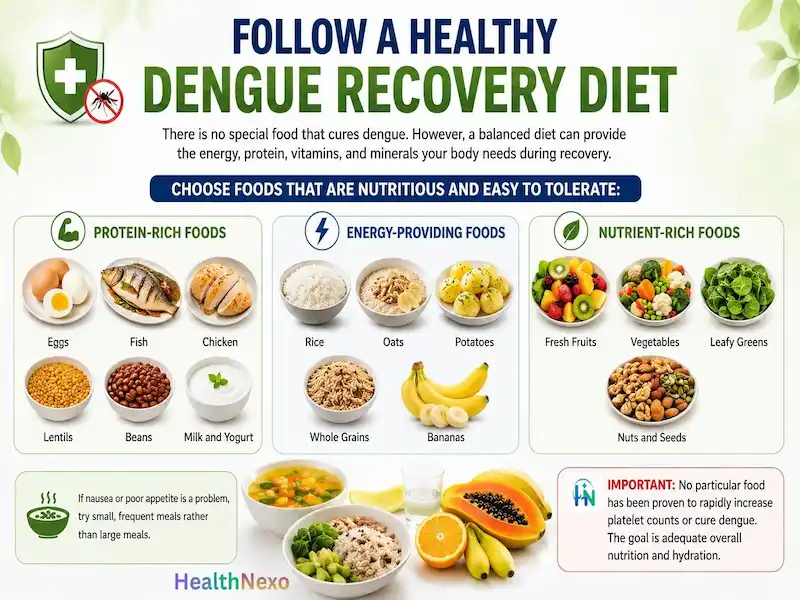 Healthy Dengue Recovery Diet
