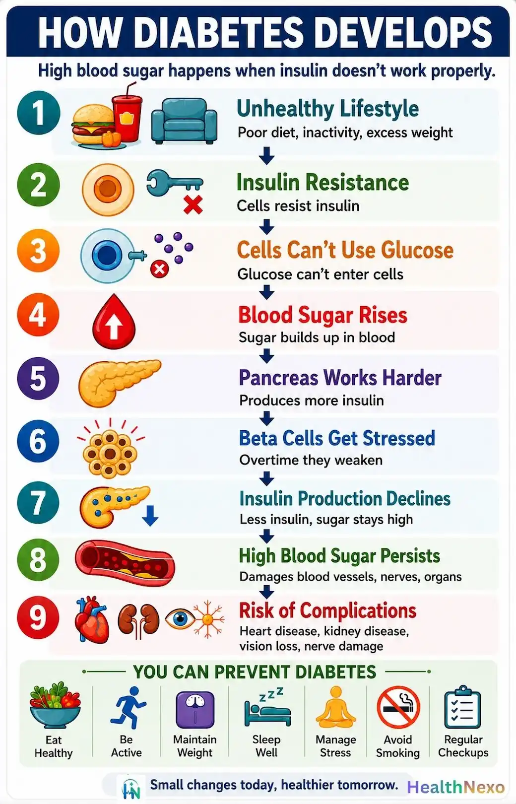 How diabetes develops in the body
