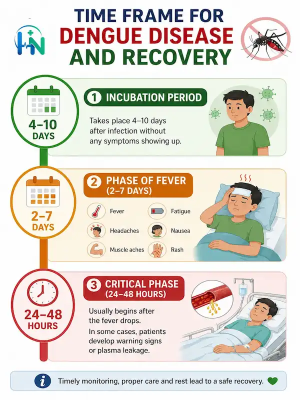 Time Frame for Dengue Disease and Recovery